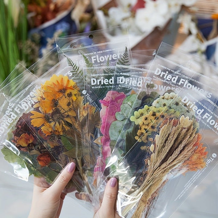 Dried Flower Collection - 6pcs PET Stickers Pack - IEEBEE