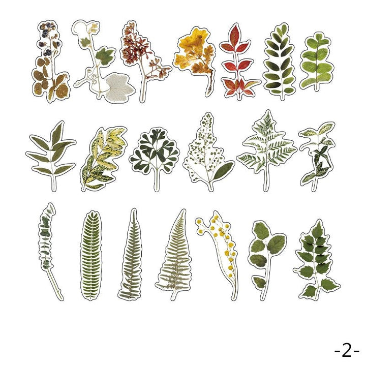 Plant Collection - 40pcs PET Stickers Pack - IEEBEE