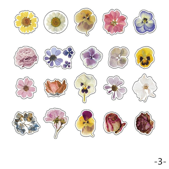 Plant Collection - 40pcs PET Stickers Pack - IEEBEE